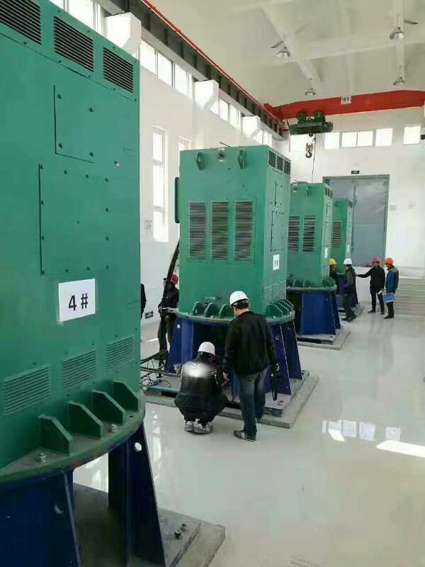 扎赉诺尔某污水处理厂使用我厂的立式高压电机安装现场